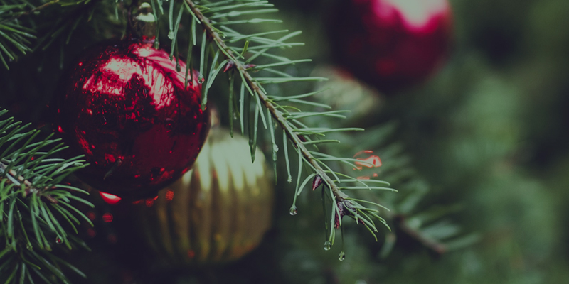 Christmas*
Click here to see what we're doing to celebrate Christmas!