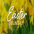 Easter Sunday Gathering